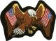Eagle (American x2) Patch