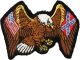 Eagle (American/Confederate) Patch