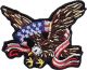 Eagle wrapped with American Flag Patch
